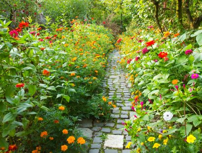 A narrow pathway in a garden surrounded by a lot of colorful flowers